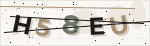 CAPTCHA security code